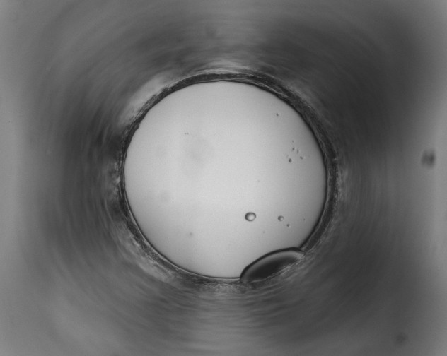 X0000115251355200911201633