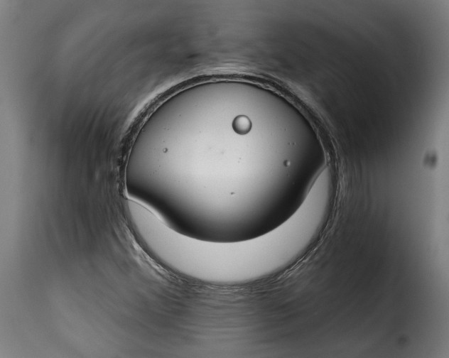 X0000115251356200911201633