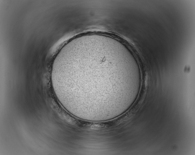 X0000115251359200911201633