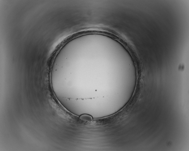 X0000115251360200911201633