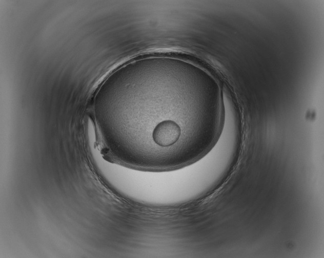 X0000115251361200911201633