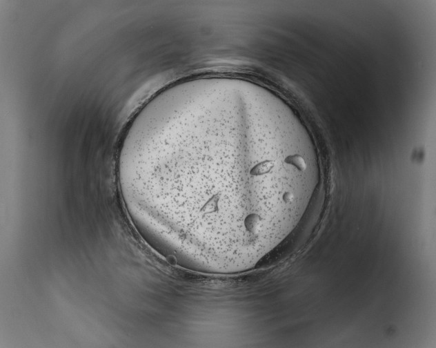 X0000115251362200911201633