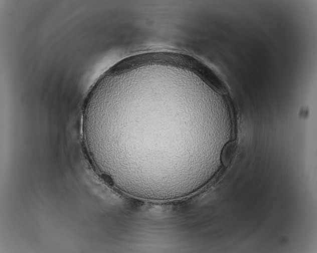 X0000115251365200911201633