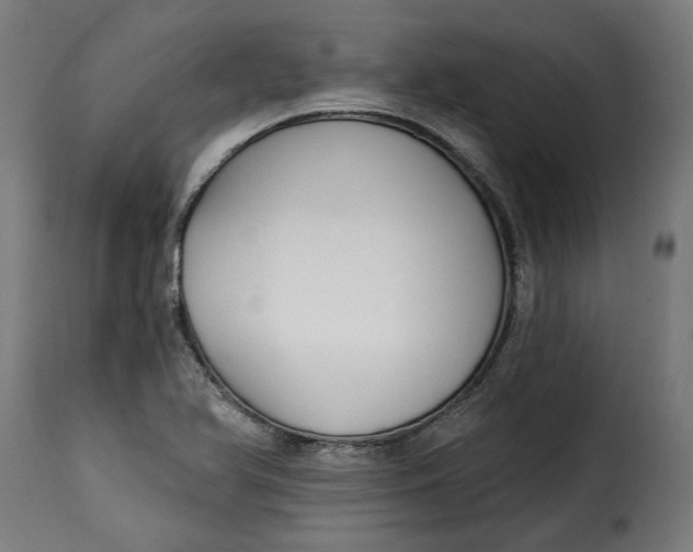 X0000115251366200911201633