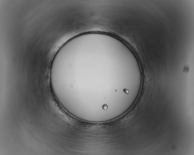 X0000115251367200911201633