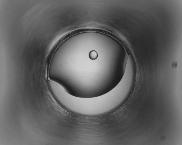 X0000115251368200911201633