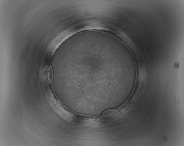 X0000115251369200911201633