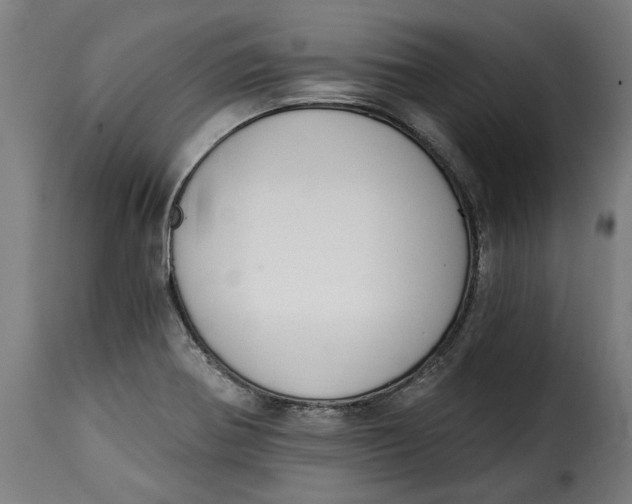 X0000115251370200911201633