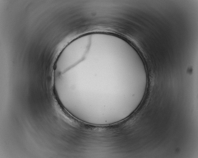 X0000115251371200911201633