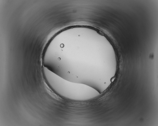 X0000115251372200911201633