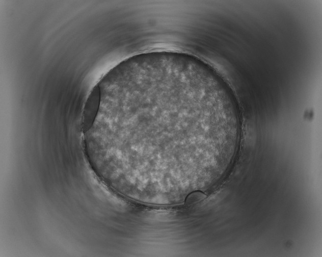 X0000115251373200911201633