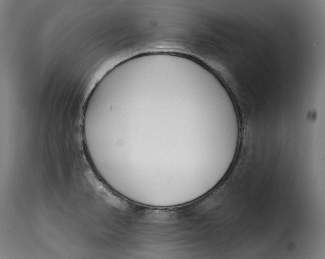 X0000115251374200911201633