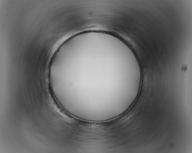 X0000115251375200911201633