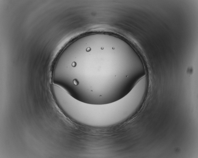 X0000115251376200911201633