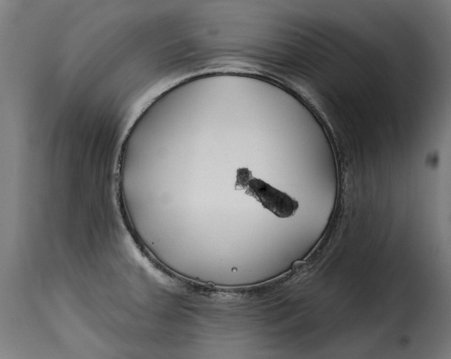 X0000115251379200911201633