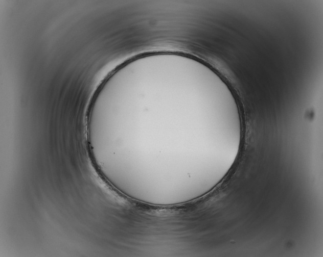 X0000115251380200911201633