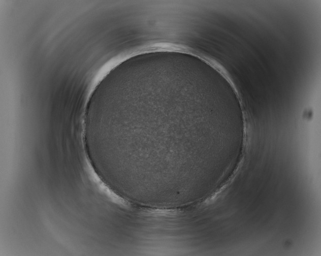 X0000115251381200911201633