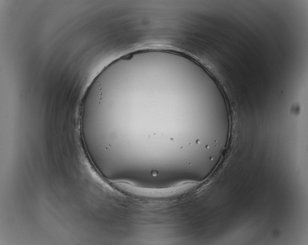 X0000115251382200911201633