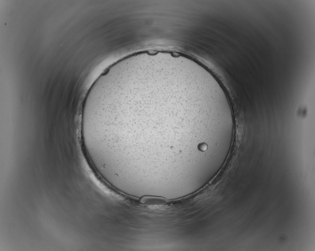 X0000115251383200911201633