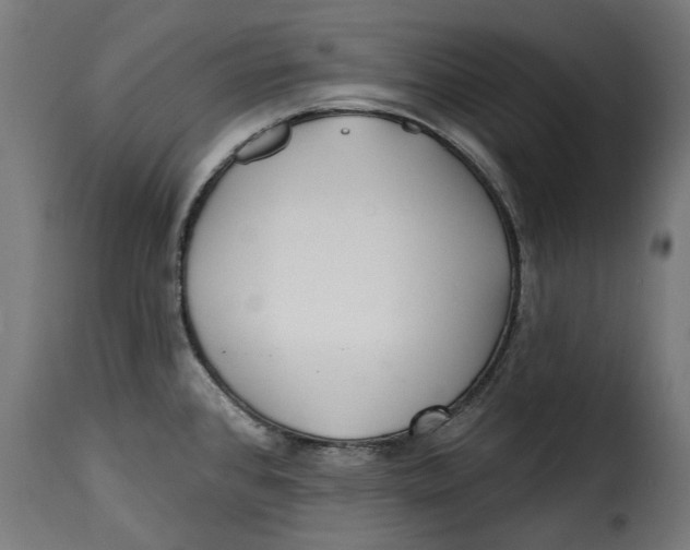 X0000115251384200911201633