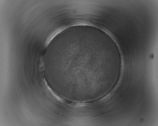 X0000115251385200911201633