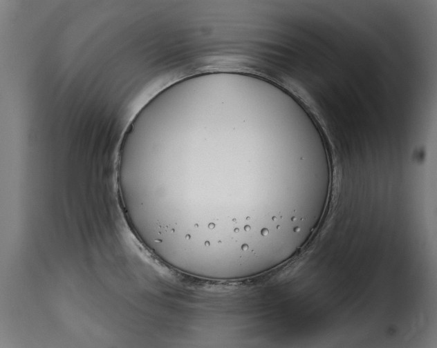 X0000115251386200911201633