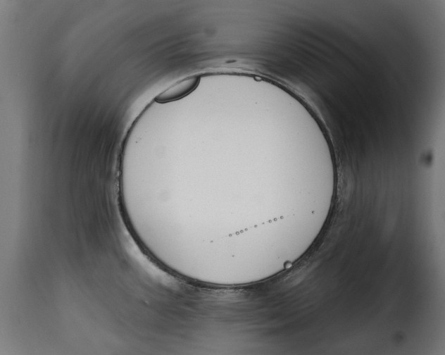 X0000115251387200911201633