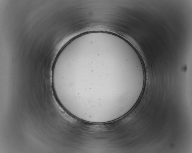 X0000115251388200911201633