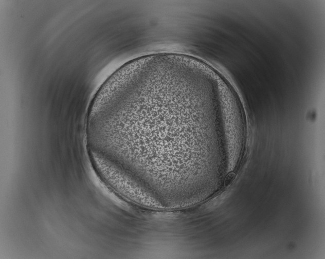 X0000115251389200911201633