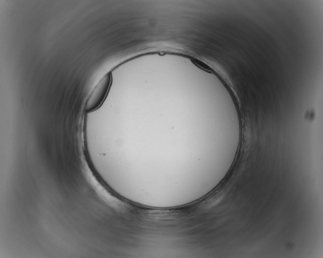 X0000115251391200911201633