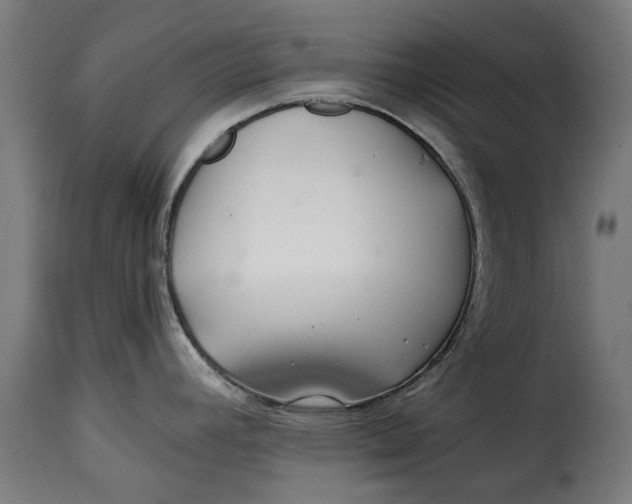 X0000115251392200911201633