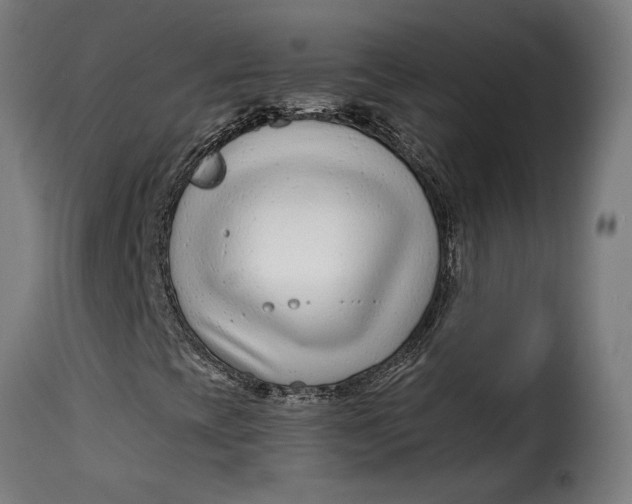 X0000115251393200911201632