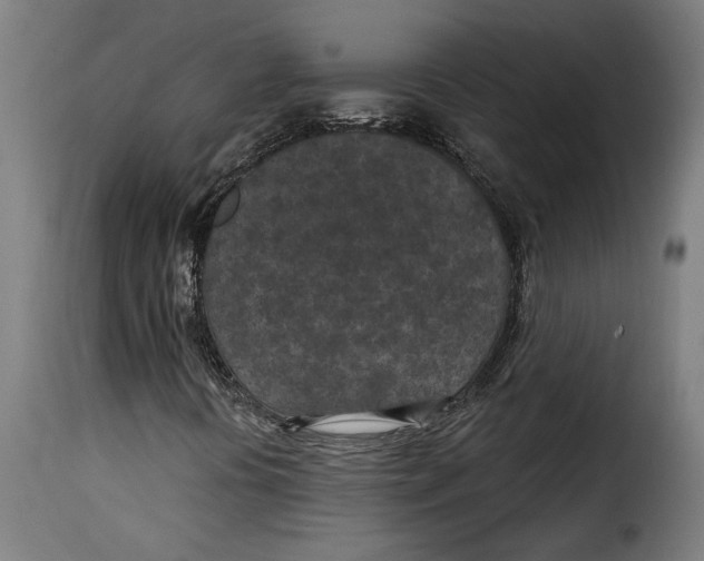 X0000115251394200911201632