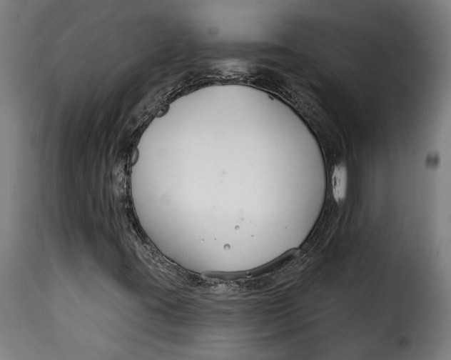 X0000115251395200911201632