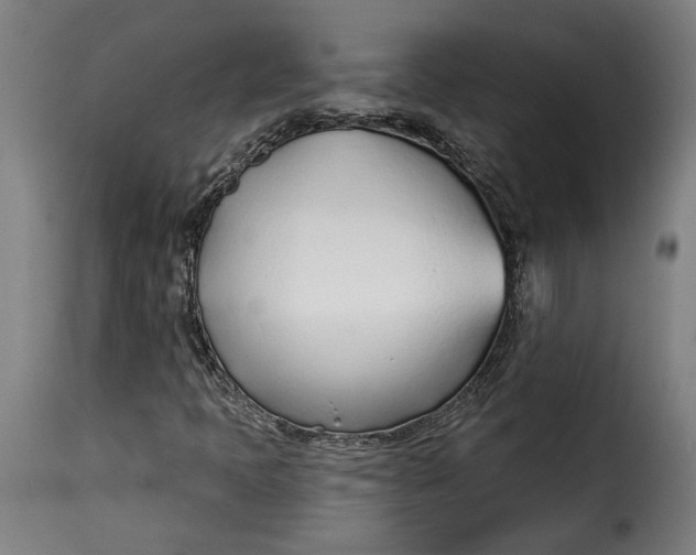 X0000115251397200911201632