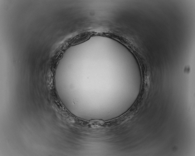 X0000115251398200911201632