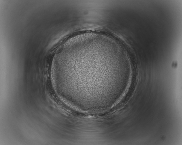 X0000115251399200911201632