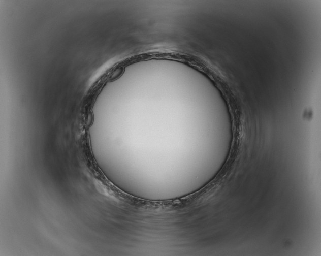 X0000115251400200911201632