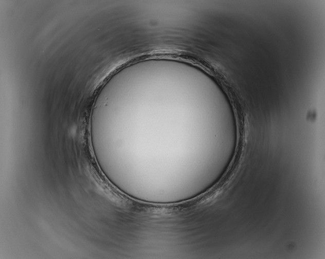 X0000115251401200911201632