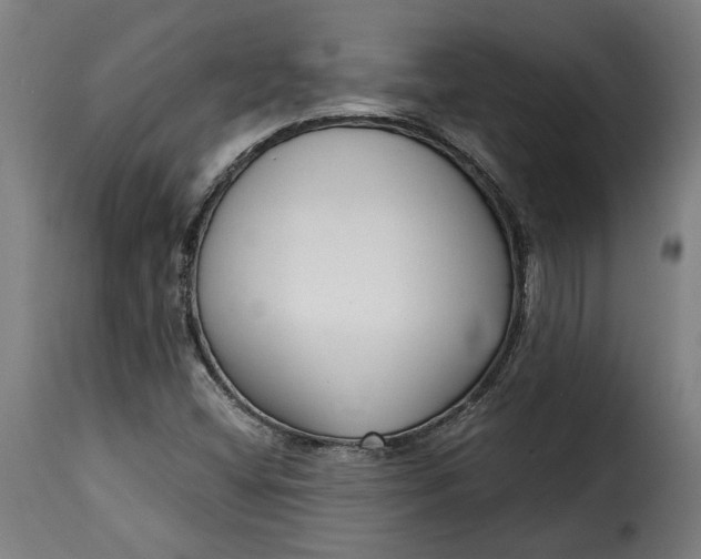 X0000115251404200911201632