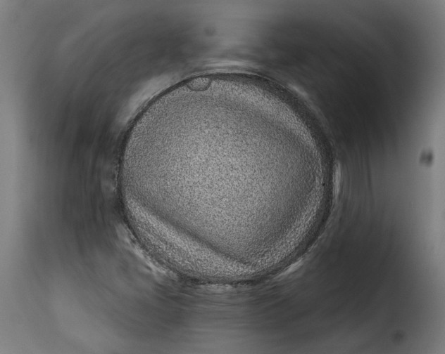 X0000115251405200911201632