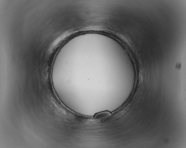 X0000115251406200911201632