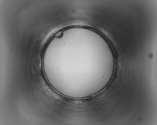 X0000115251408200911201632