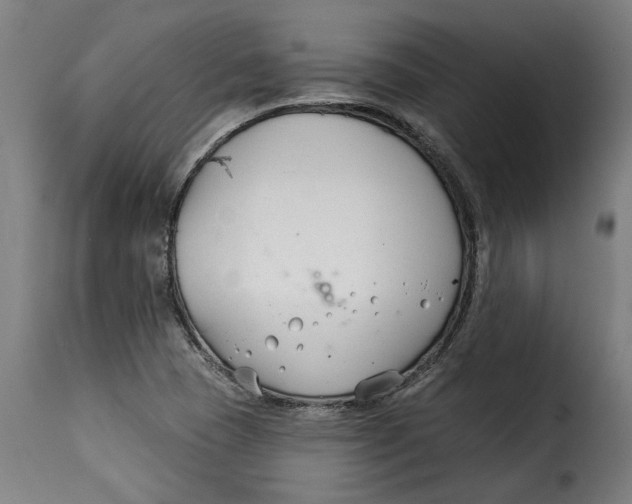 X0000115251409200911201632