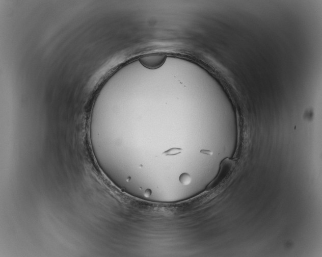 X0000115251411200911201632