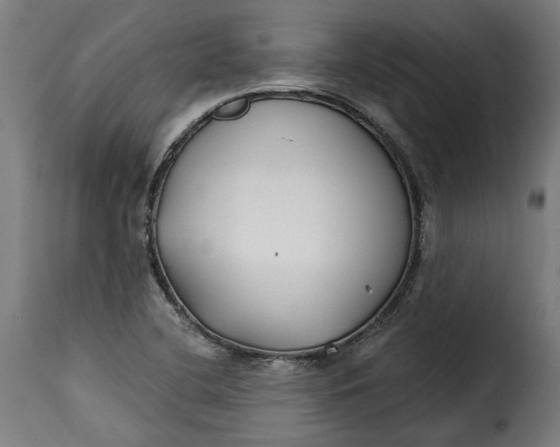 X0000115251412200911201632