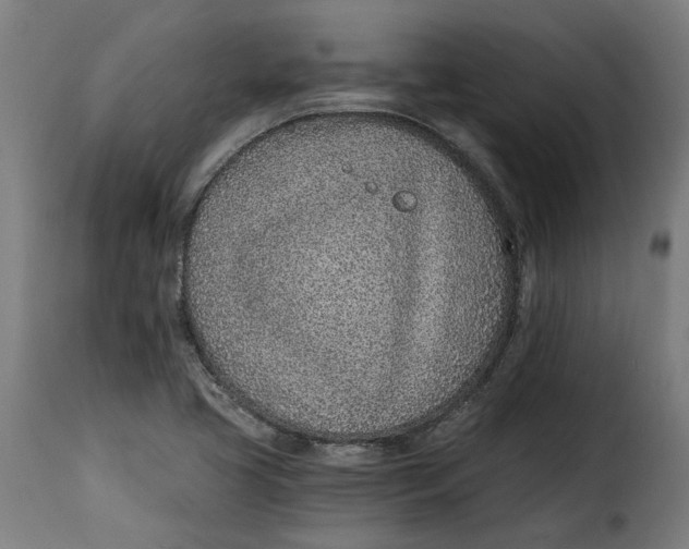 X0000115251413200911201632