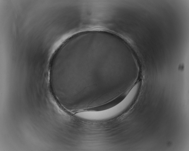 X0000115251414200911201632