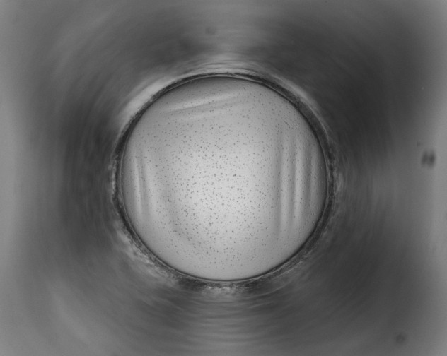 X0000115251415200911201632