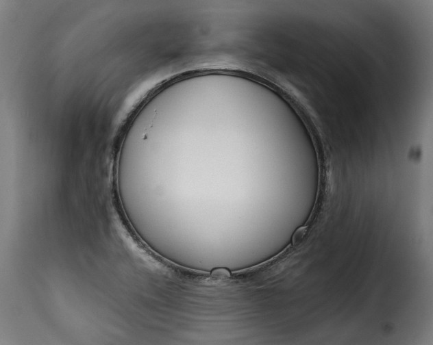 X0000115251416200911201632